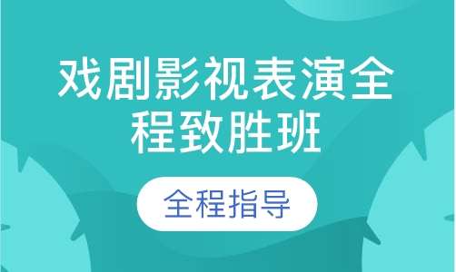 戏剧影视表演全程致胜班