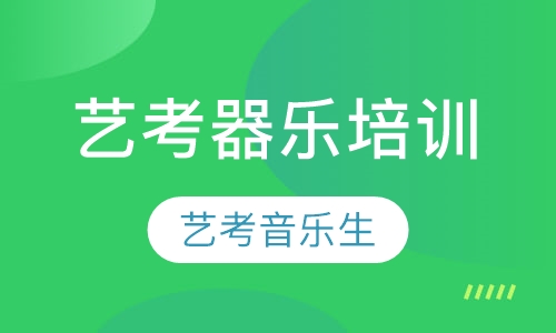 艺考器乐培训